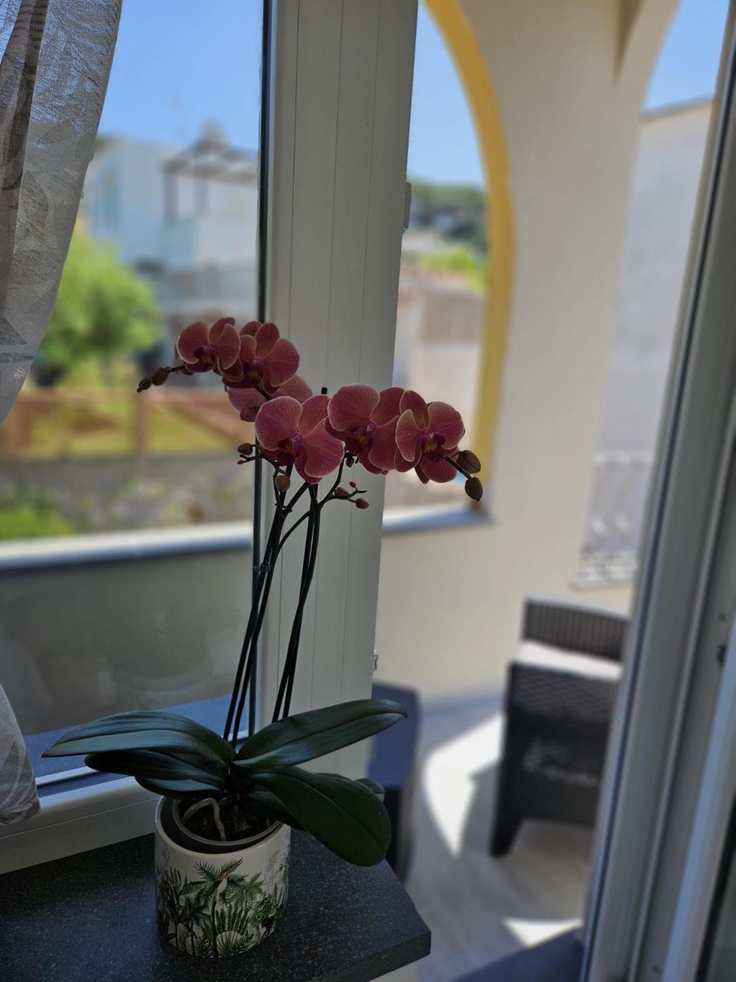 Il Portico B&B Capri Phòng bức ảnh